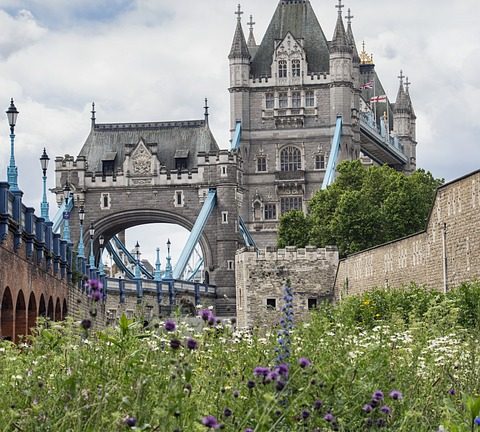 World’s Best English Students Gear up for IEO Showdown