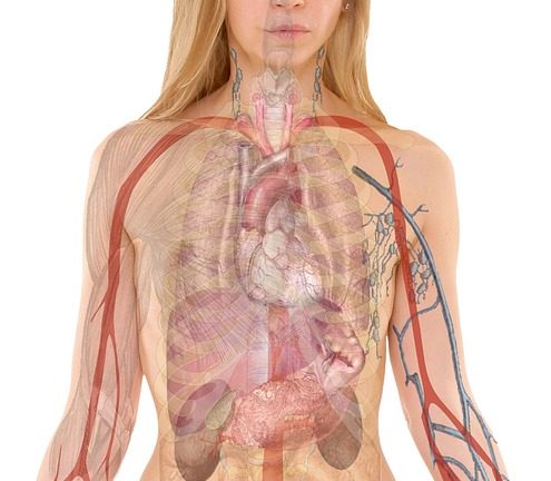 Uncovering the Mysteries of Science: Students Dive into Deep Learning