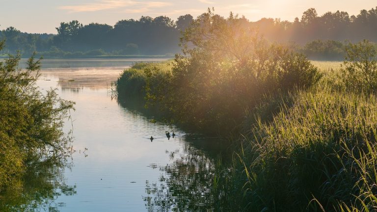 The Ultimate IEO Preparation Guide: Boosting Scores with Practice and Focus