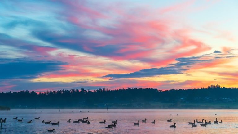 Breaking Down the IEO Paper Pattern: A Closer Look at Question Types and Formats