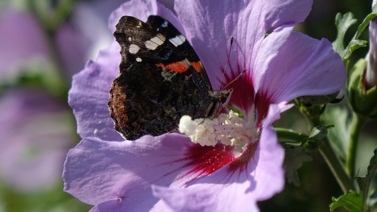 Spain Stun Denmark, Sweden Sends Shockwaves as Group Play Concludes