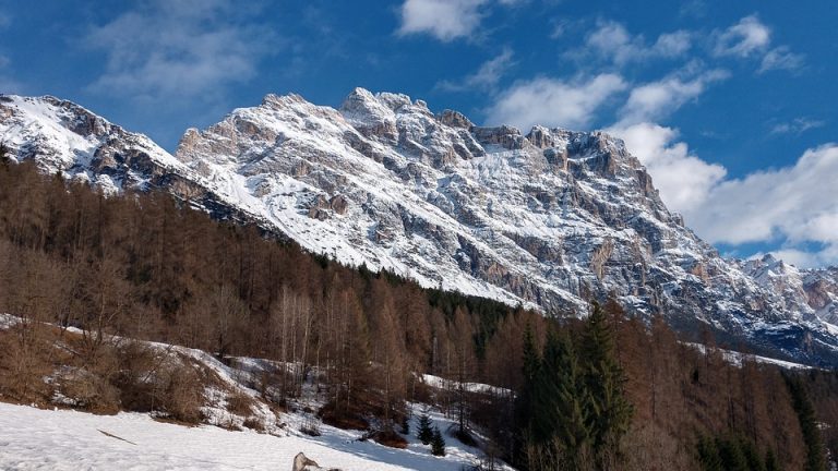 European Handball Stars Shine in Olympic Debut