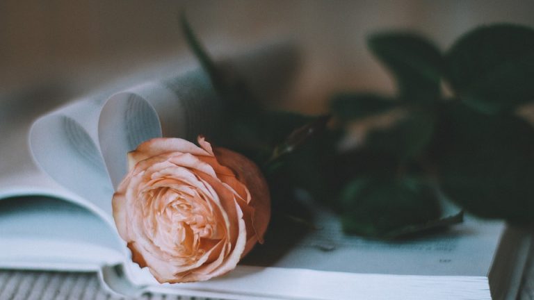 Transforming Healthcare Education: Eduheal Foundation’s Commitment to Empowering Tomorrow’s Medical Professionals