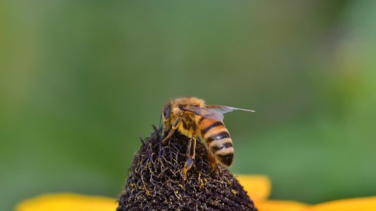 After the tournament