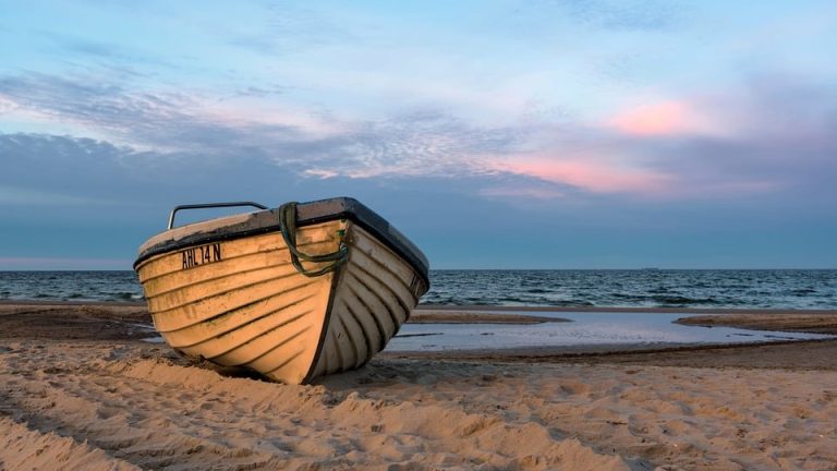 Eduheal Foundation: A Beacon of Hope for Students’ Health and Well-being