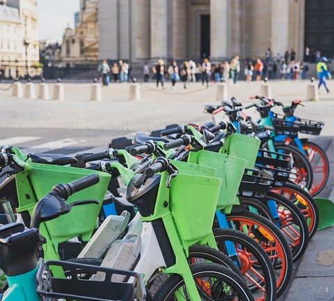 French Flair Secures Gold for Women at EHF Olympiad