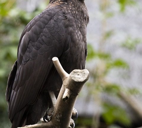 Weightlifter from Unknown Nation Causes Upset, Wins First-Ever Medal