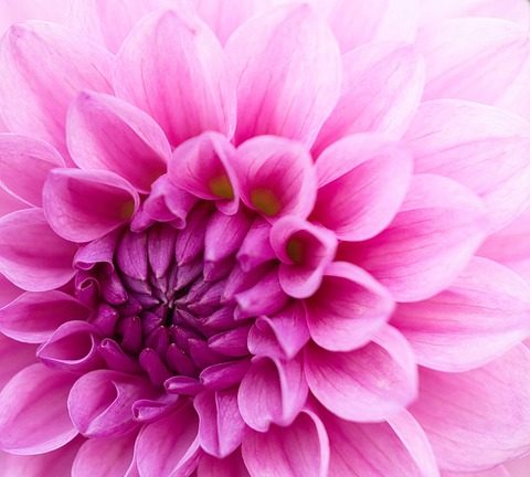 Host Country [Host Country] Steals the Show with Impeccable Form