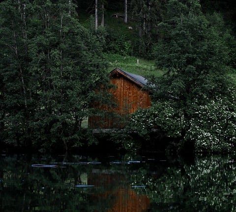 Healing Minds, Educating Bodies: The Impact of Eduheal Foundation’s Work in Schools