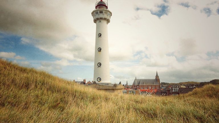 Eduheal Foundation: Bridging the Gap between Education and Healthcare for a Brighter Future