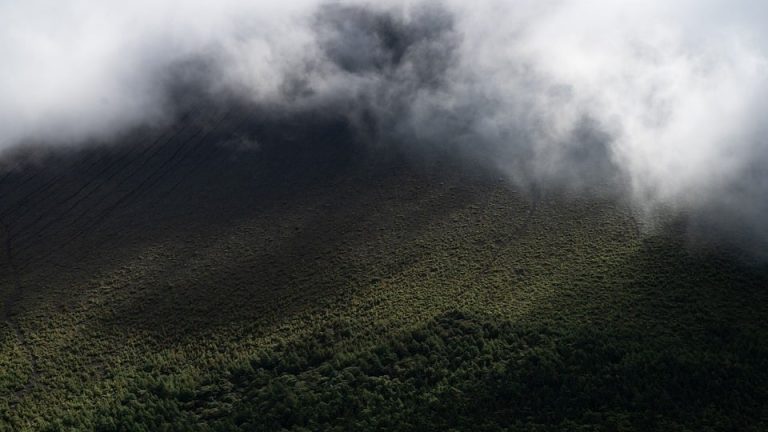 MVP and Final Team of the Tournament: EHF Olympiad Awardees Revealed