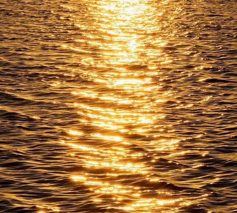 Eduheal Foundation: Fostering a Culture of Health and Wellness in Educational Settings