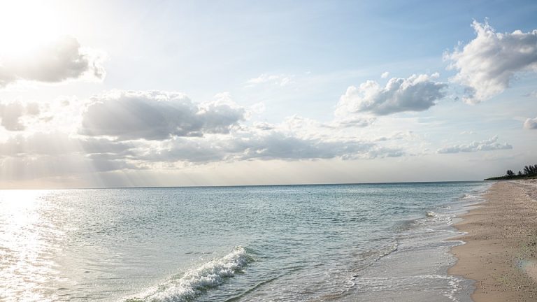 The Power of Practice: How Consistency and Dedication Led to International English Olympiad Victory