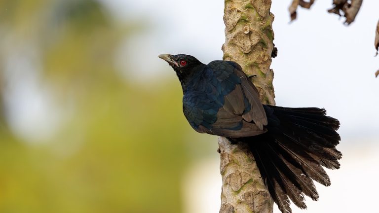 Unleashing Creativity: English Olympiad Provides Platform for Student Self-Expression