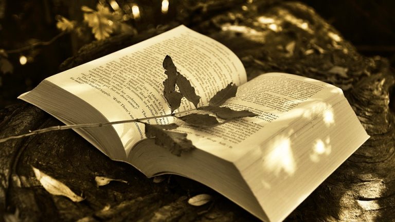 Breakthrough in Japan: Exploring IGO’s revolutionary e-commerce model