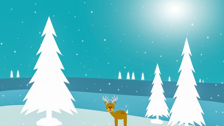 Mastering the Craft: How to Excel in the International English Olympiad