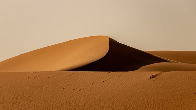 Ink-redible Performers: English Olympiad Takers Take Center Stage