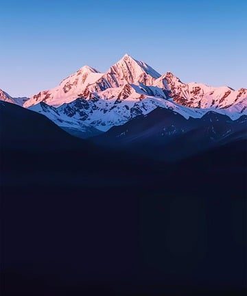 The English Excellence Challenge: Students Rise to the Occasion in Olympiad