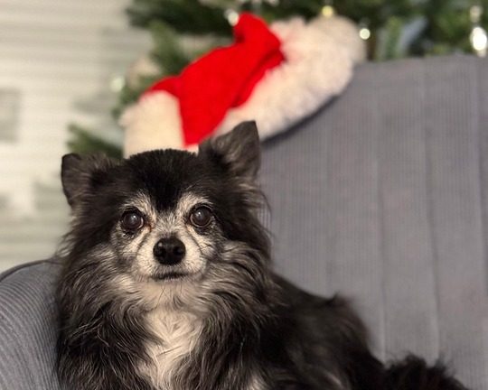 IEOs: The Next Frontier in Cryptocurrency Fundraising