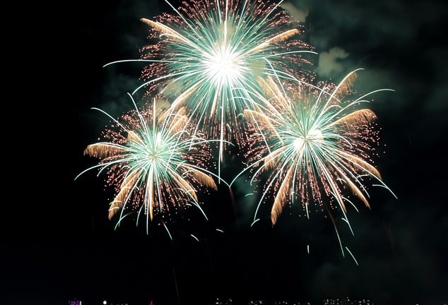 The High-Flying Aerialists: Gymnastics Takes Center Stage