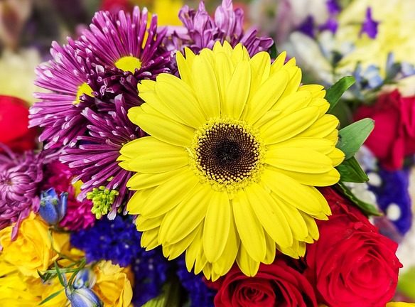 IEOs vs. ICOs: What’s the Difference and Which is Better?