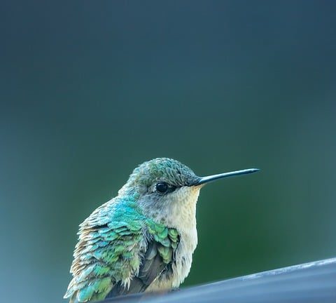 A Night to Remember: The Opening Ceremony’s Spectacle and pageantry