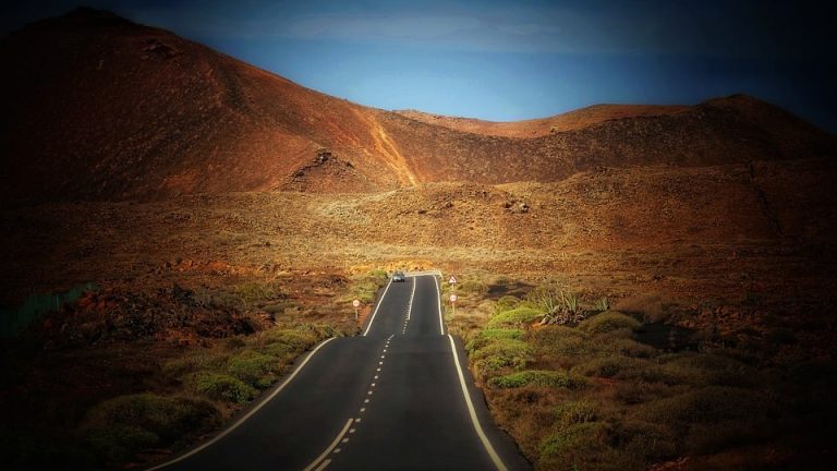 The Olympics: A Family Affair – Stories of Athletes and Their Loved Ones