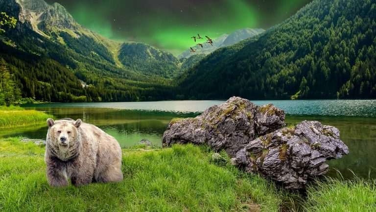 Strengthening Communities, One School at a Time: Eduheal Foundation’s Community-Based Initiatives