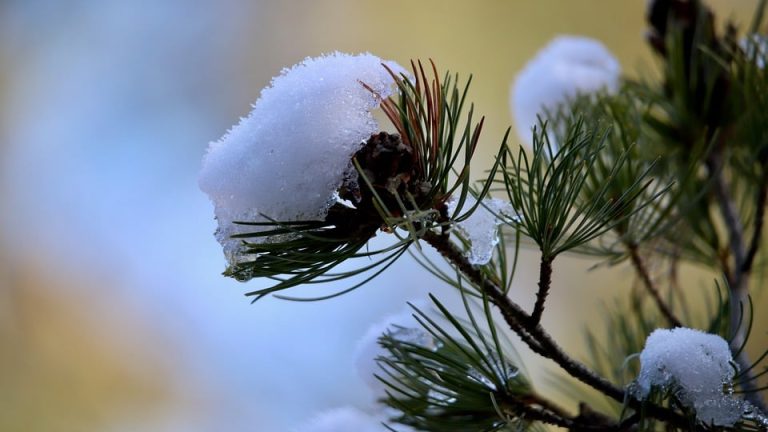 The Pressure Cooker of Competition: How Athletes Cope with the Stress of the Olympics