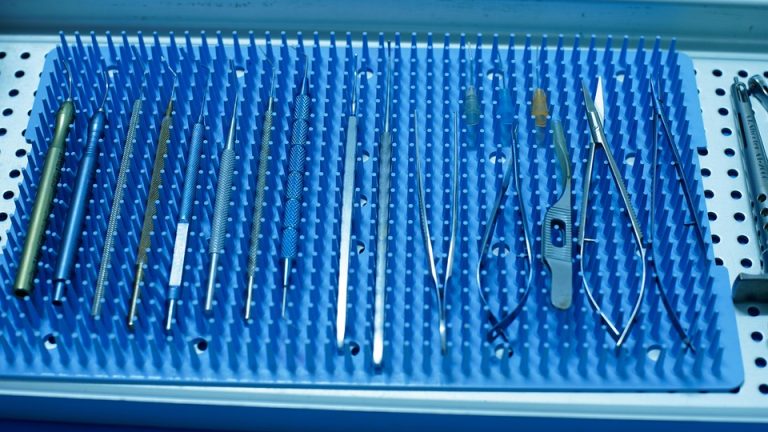 Healing Through Education: The Inspiring Story of Eduheal Foundation