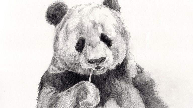 Brushes at the Ready: Art Olympiad Kicks Off Global Competition