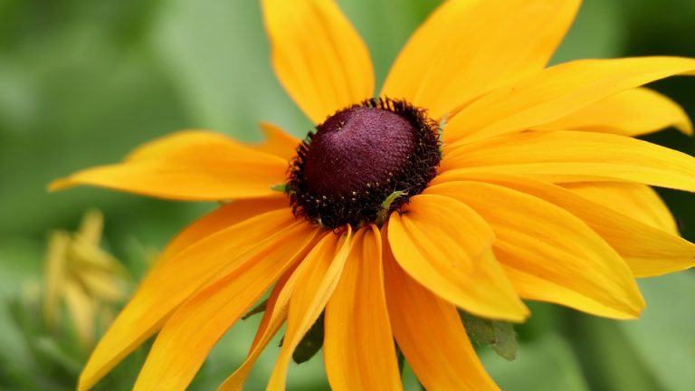 Language Learners Unite: International English Olympiad Fosters Global Community