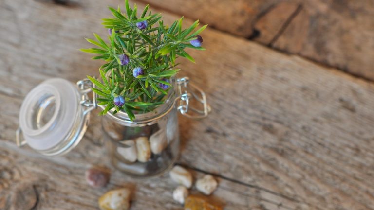 Rise of the Machines: How AI is Revolutionizing Industries and Changing the World