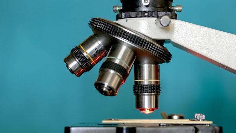 Future Scientists Shine: Winners Announced for National Biotechnology Olympiad