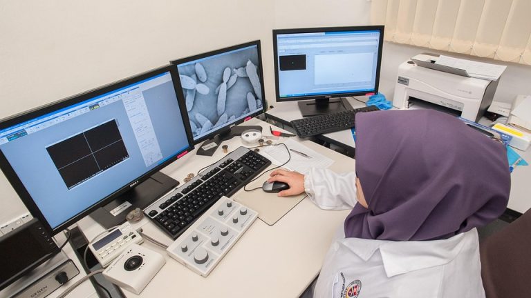 Eduheal Foundation: Revolutionizing Education with Innovation and Compassion