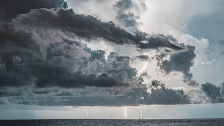 English Language Prodigies Compete in International Olympiad